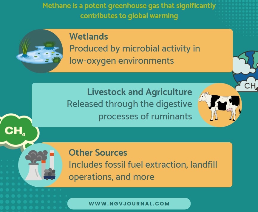 Sources of Methane