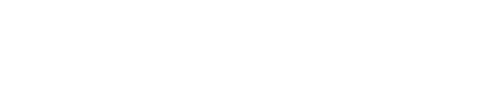 nvgjournal logo